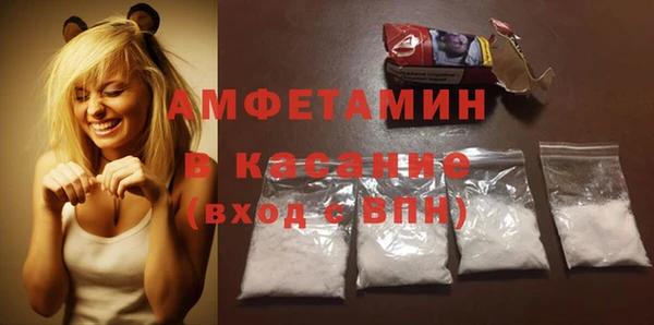 сатива Осташков