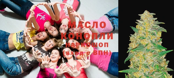 сатива Осташков