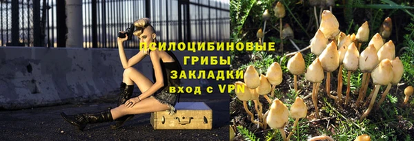 сатива Осташков