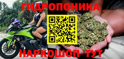 ПСИЛОЦИБИНОВЫЕ ГРИБЫ Абинск