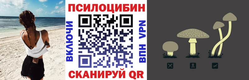 Галлюциногенные грибы Cubensis Алексин