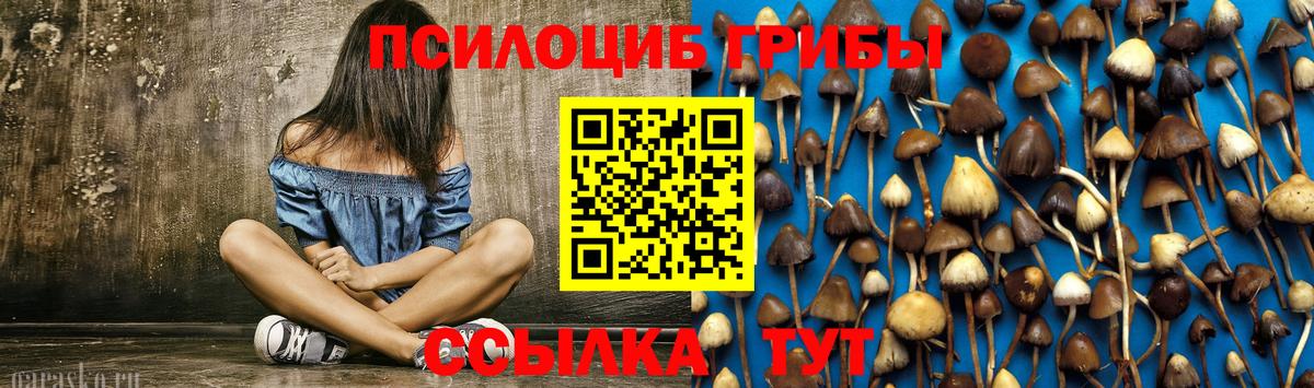 Псилоцибиновые грибы MAGIC MUSHROOMS  Галлюциногенные грибы Cubensis  Алексин 