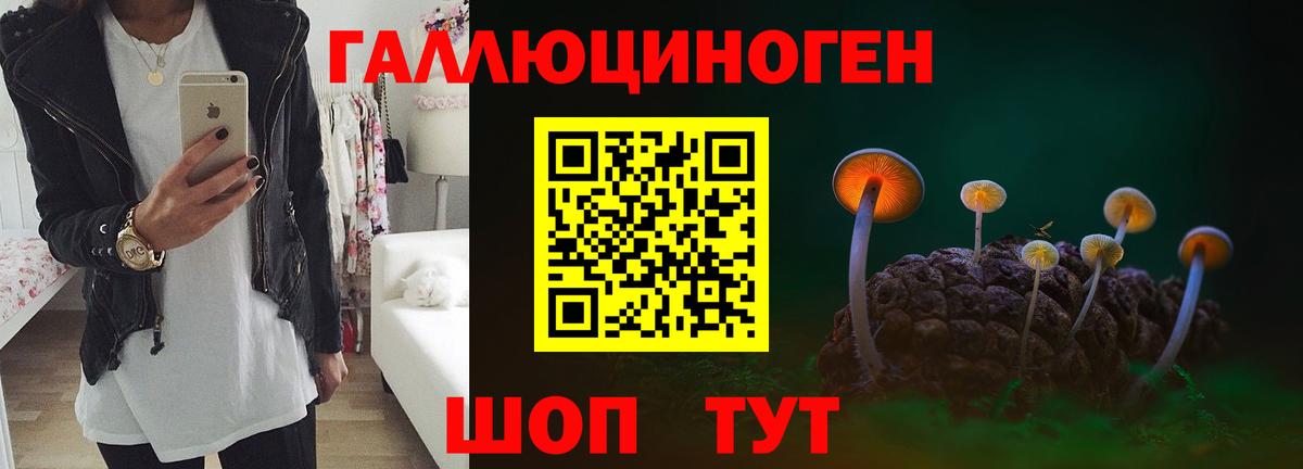 Галлюциногенные грибы Magic Shrooms  Псилоцибиновые грибы Psilocybe  купить наркотики сайты  Алексин  Вход с VPN 